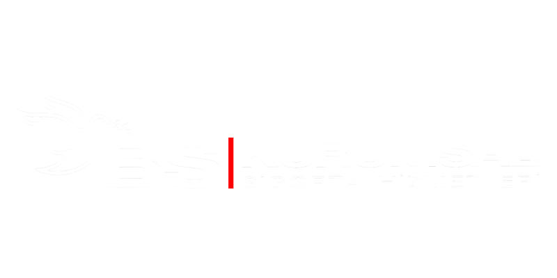 BS Kurumsal